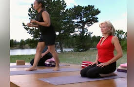 Gaiam: Mayo Clinic Wellness Solutions for High Blood Pressure: Yoga for High Blood Pressure