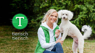 19:50: Tierisch tierisch | MDR Fernsehen | 6/10 2026