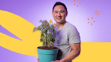 10:45 AM: What’s in Your Plant Pot? (S1) | Cbeebies | 6/12 2026