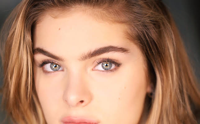 Brighton Sharbino