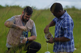 Bugs That Rule the World, Season 1: Beetlemania