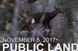 The Hunting Public: November 7 - Public Land: Rut Cruising Areas in Marsh Terrain