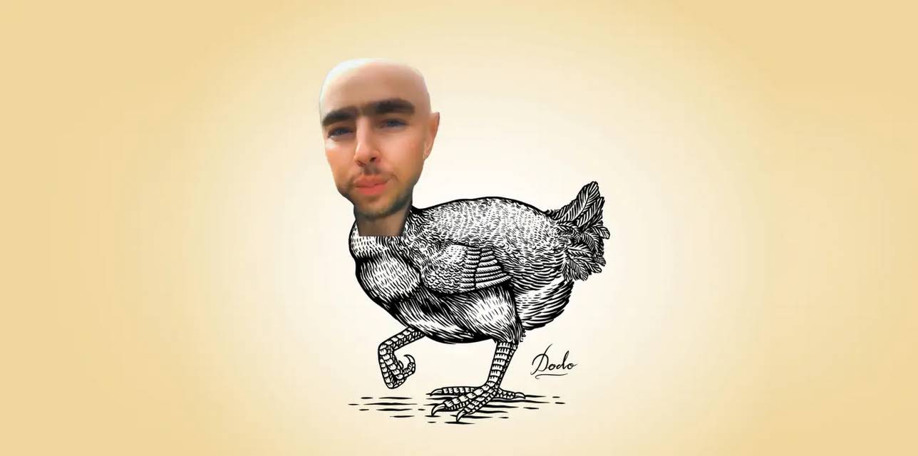 Do Not Expect Too Much From the End of the World (2024)