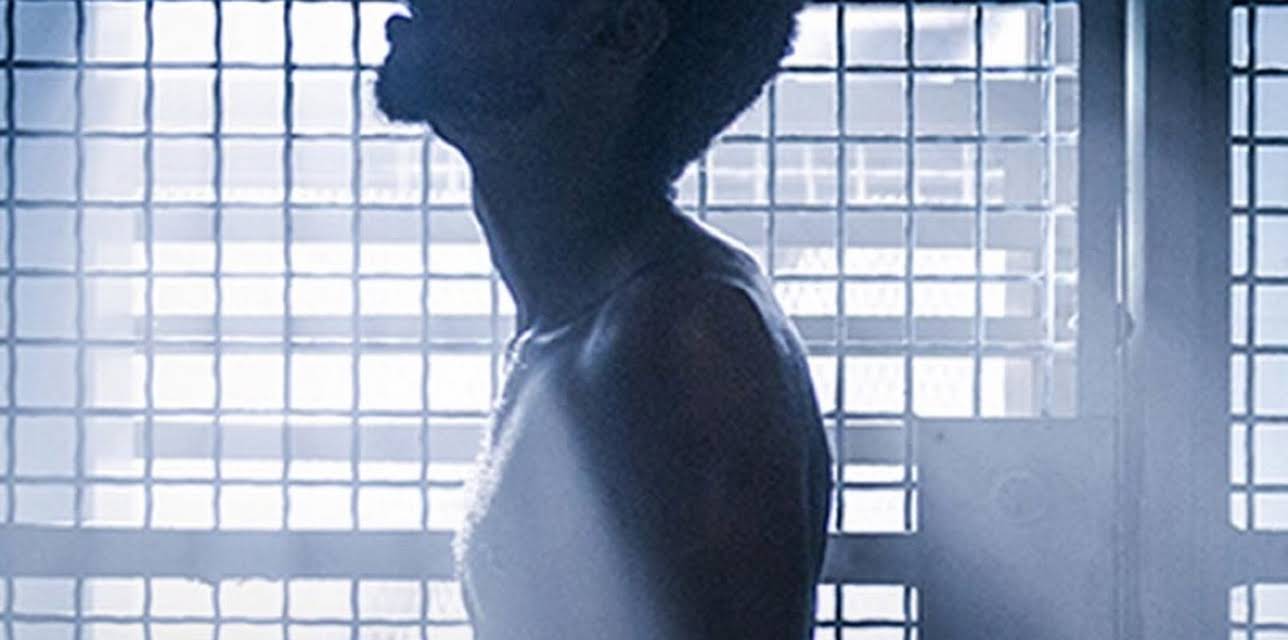 Crown Heights (2017)