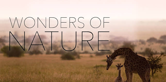Wonders of Nature