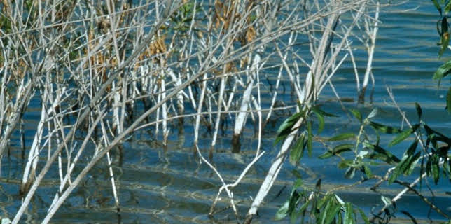 13:45: Unsere kleine Farm (S4 E73) (S4) | Sat1 Gold | 6/9 2025