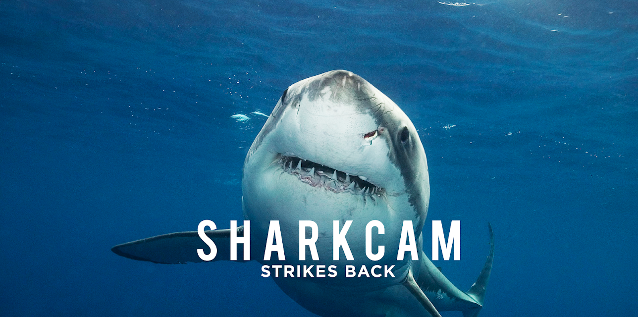 SharkCam Strikes Back (2018)