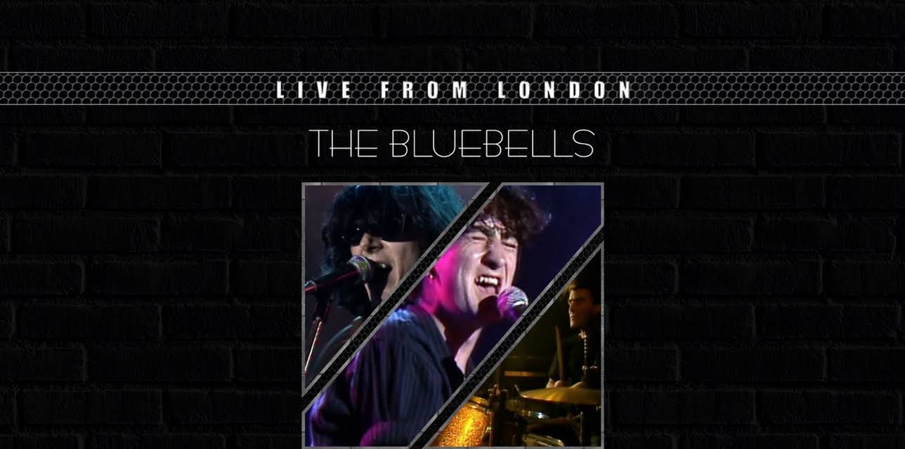 The Bluebells - Live From London (1985)