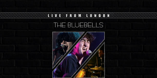 The Bluebells - Live From London (1985)