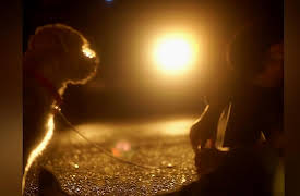 Mind Investigators: Under Pressure