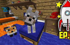 Tankee's Minecraft Space Mission ALT: A Bedroom For The Pets!