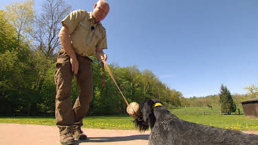 11:30: NaturNah: Der Jagdhundeausbilder | Radio Bremen | 6/2 2026