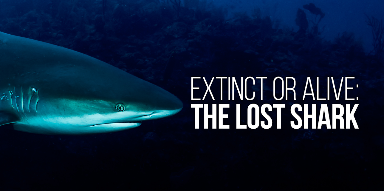 Extinct or Alive: The Lost Shark (2019)