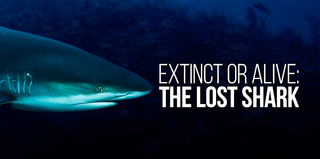 Extinct or Alive: The Lost Shark (2019)