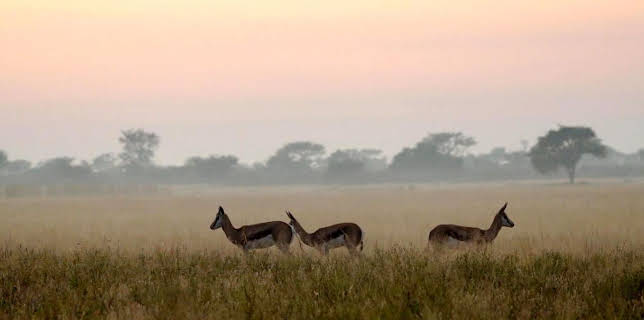 08:06: Stadt Land Kunst | Arte | 11/21 2025