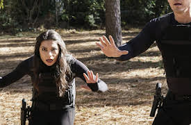 True Lies Season 1: Bitter Sweethearts