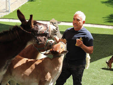 06:15: Cesar Millan: Better Human Better Dog - Bessere Menschen, bessere Hunde | Sixx | 7/19 2026