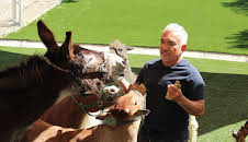 Cesar Millan: Better Human Better Dog - Bessere Menschen, bessere Hunde