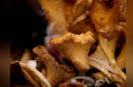 Jamie Oliver's Food Escapes: Stockholm