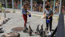 Die Mädchen-WG - Im Schloss am See
