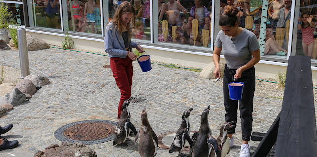 05:30: Die Mädchen-WG - Im Schloss am See | ZDF | 1/24 2026