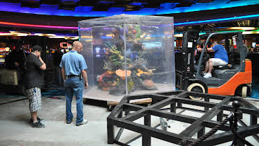 10:25: Tanked (S3 E2) (S3) | Animal Planet | 12/30 2025