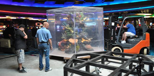 01:30: Tanked (S3 E2) (S3) | Animal Planet | 1/1 2026