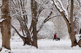 CBS Evening News: Season 2026: 1/20: CBS Evening News