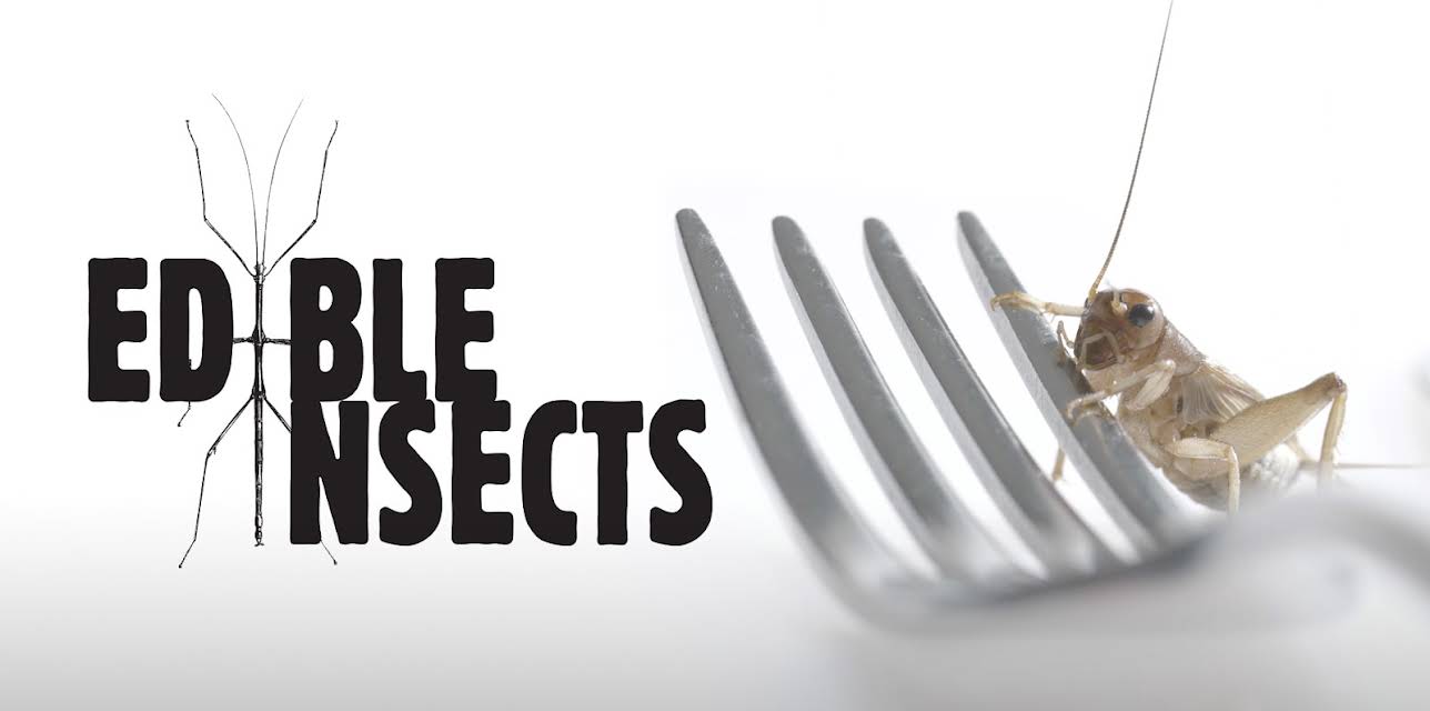 Edible Insects (1974)