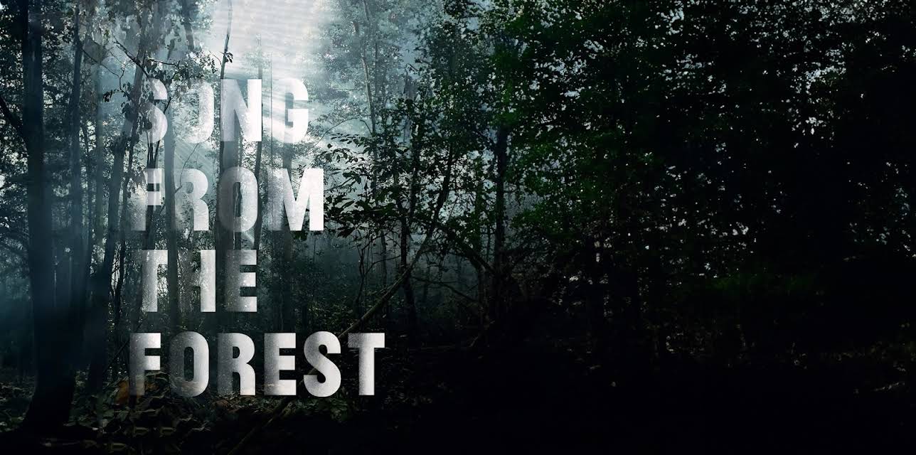 Song From The Forest (2015)