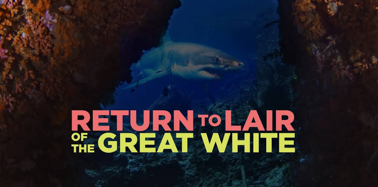 Return to Lair of the Great White
