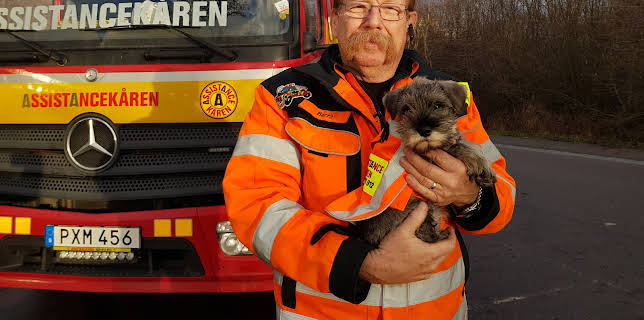 Vägens hjältar - Sign language