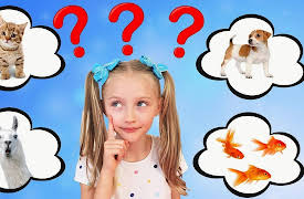 Super Polina Play: Polina Wants a New Pet!