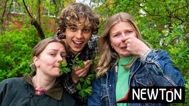 19:00: Newton 2025: Smaks-challenge! | NRK Super | 5/10 2026