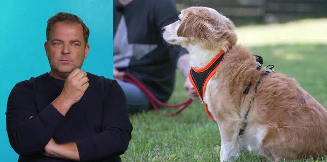 19:05: Die Unvermittelbaren - Mit Martin Rütter | RTL | 2/15 2026