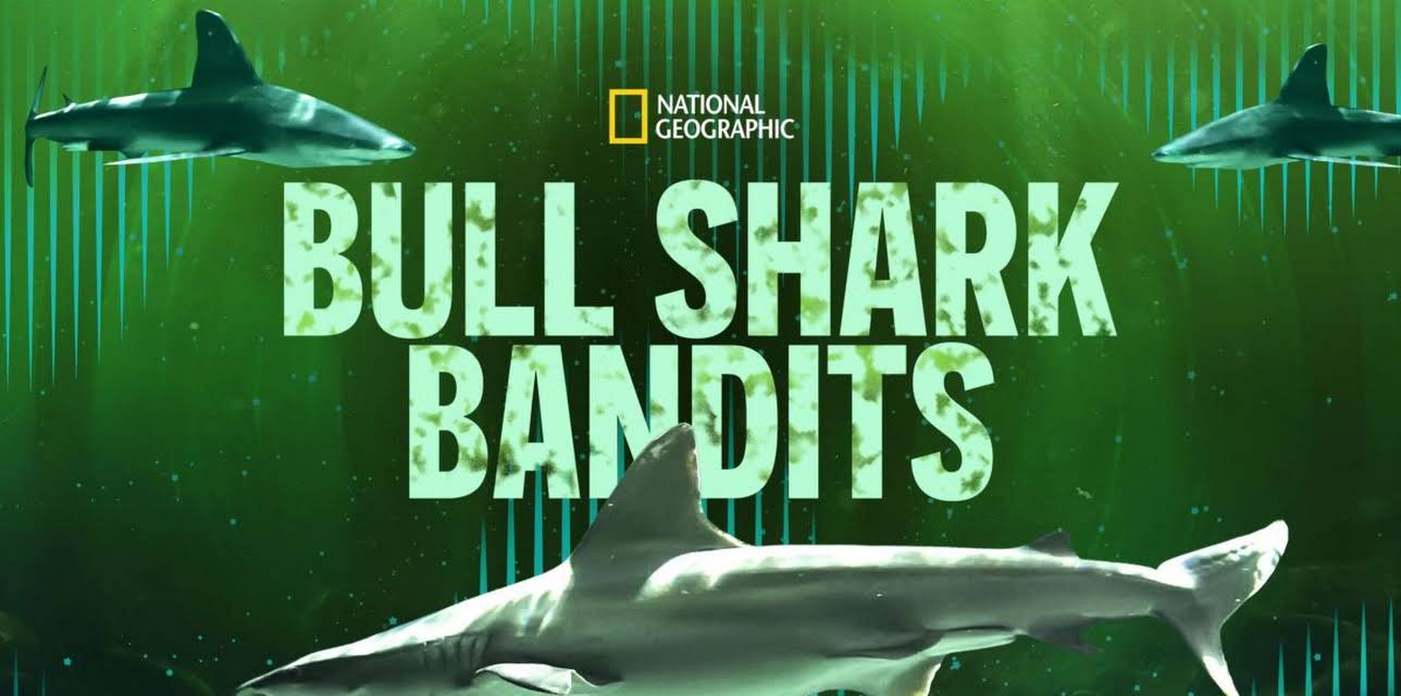 Bull Shark Bandits (2023)