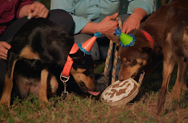 Muster Dogs, Season 1: Episode 4