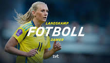 Fotboll: VM-playoff: Sverige-Litauen