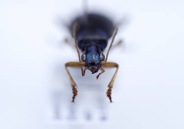 20:15: Wunder der Wissenschaft | ZDFinfo | 3/27 2026