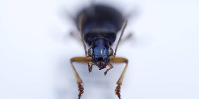 19:30: Wunder der Wissenschaft | ZDFinfo | 11/12 2025