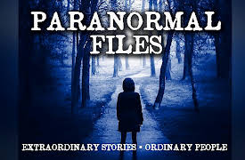 The Alien Files: Fire from the Skies