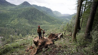 10:00 AM: The Last Woodsmen (S1) | Discovery Channel | 9/18 2026