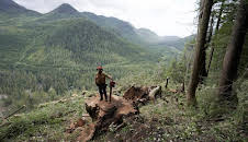 The Last Woodsmen