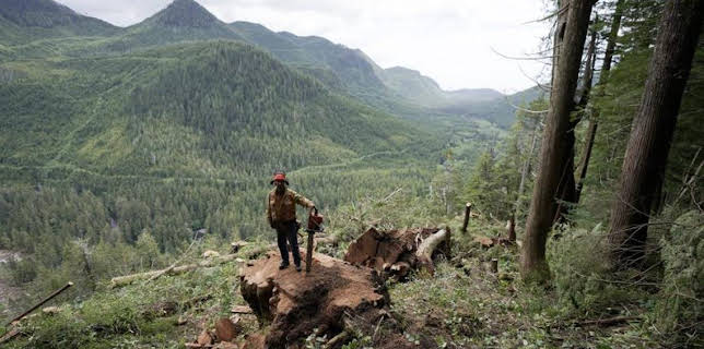 12:00 PM: The Last Woodsmen (S1) | Discovery Channel | 3/21 2026