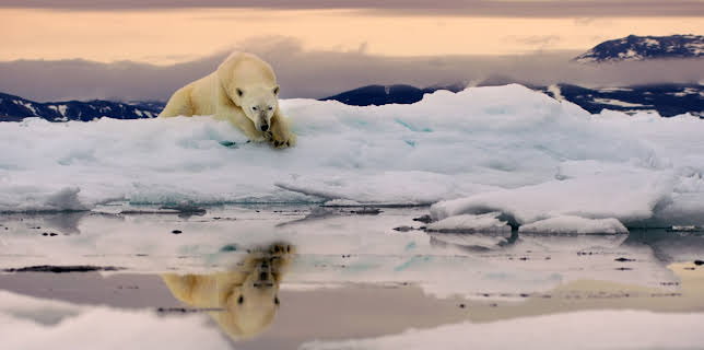 17:45: Eisige Welten II (6/6) | 3SAT | 11/27 2025