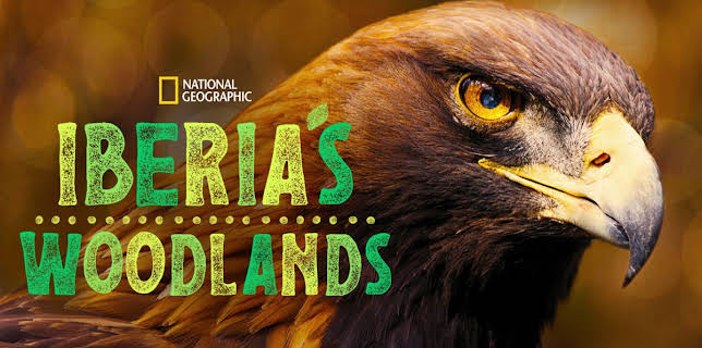 12:00 PM: Iberia's Woodlands | Nat Geo Wild | 2/22 2026