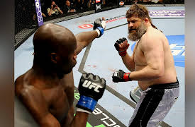 2013 Knockout of the Night: Roy Nelson vs. Cheick Kongo UFC 159