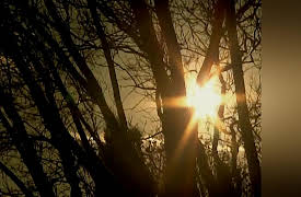 The X Life: It'll Never Change