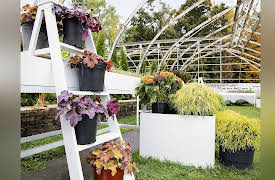 Clipped: The Garden of Champions