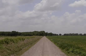 Murder in the Bayou Season 1: Murder in the Bayou: Chapter Four - A Precarious Place